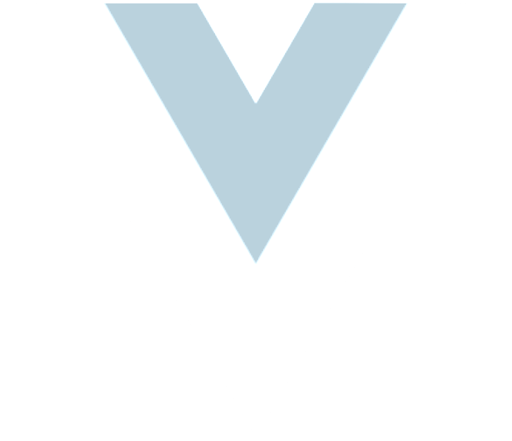 vue